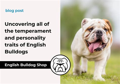 bulldog position|The Bulldog Personality .